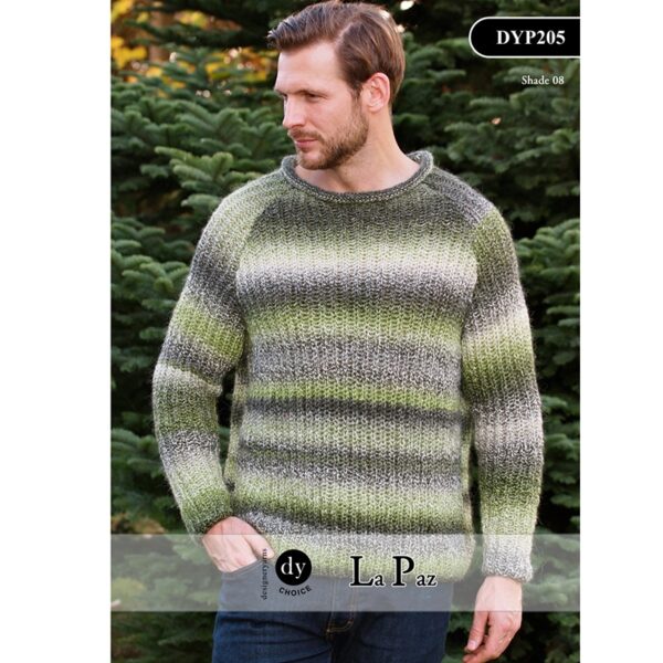 DYP205-FrontCover.jpg
