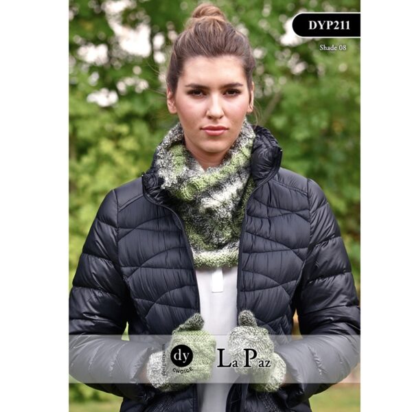 DYP211-FrontCover.jpg